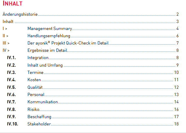 Ayonik Projekt Quick-Check Inhalt