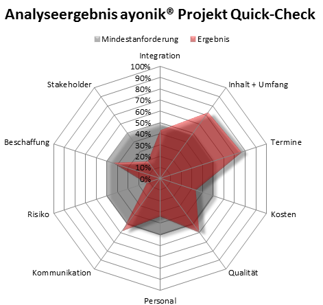 Ayonik Projekt Quick-Check Netzdiagramm
